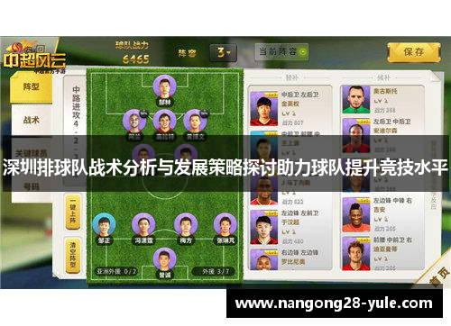 深圳排球队战术分析与发展策略探讨助力球队提升竞技水平