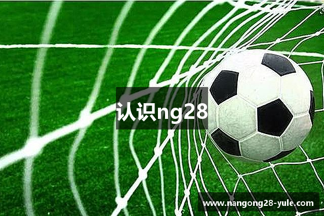 认识ng28